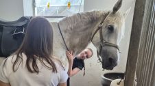 Bildmotiv: Reitwochenende für Jugend (Mädels)
