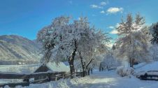 Bildmotiv: Advent Stille-Tage